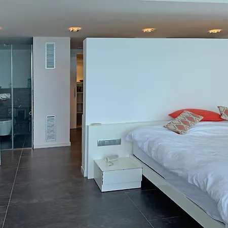 Apartment Luxe Penthouse Centrum 300m Strand-8pax Wifi 2parking